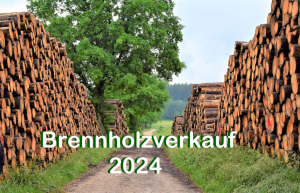 Brennholzverkauf 2024