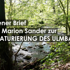 RENATURIERUNG DES ULMBACHS - offener Brief von Marion Sander