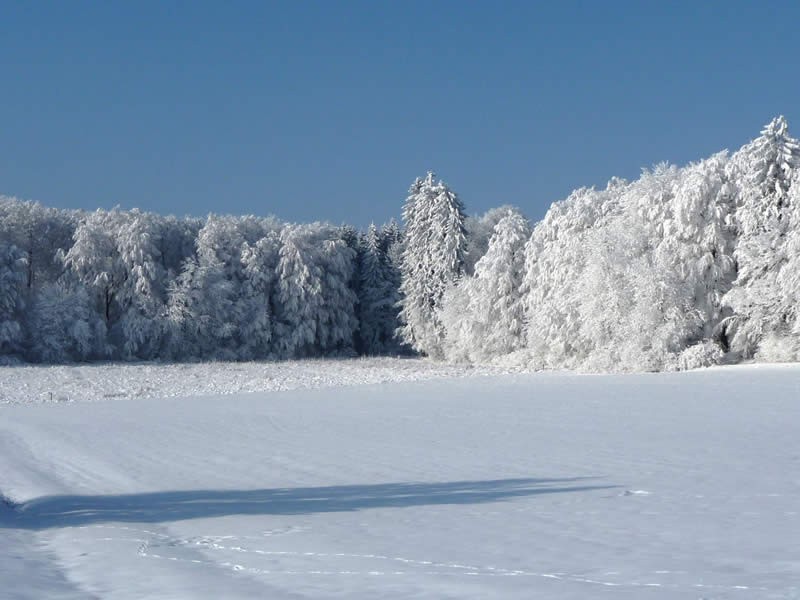 Bild: Winter am Wochenendgebiet